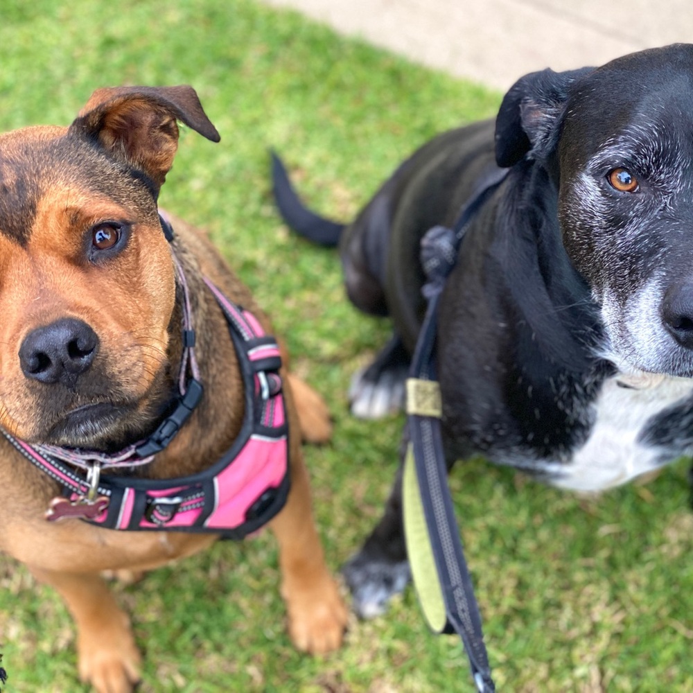 Meet your Posher, Gwen